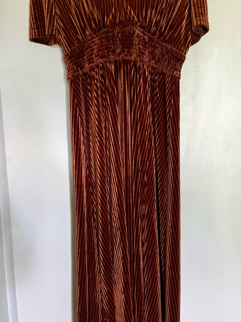 Amazon Rust Velvet Pleated Maxi Dress